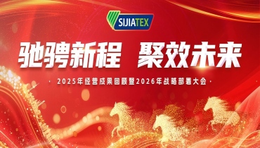 馳騁新程 聚效未來 | 思嘉集團(tuán)經(jīng)營成果回顧及戰(zhàn)略部署大會(huì)